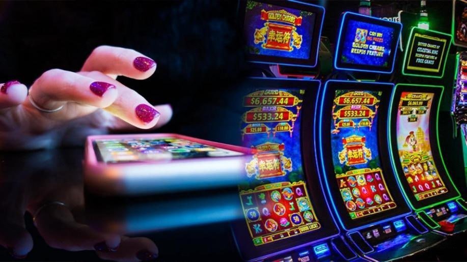 77bb bet